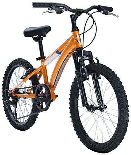Diamondback Cobra 20 Mountain Bikes for Kids